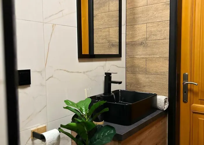 Loft House דירה נובי טארג